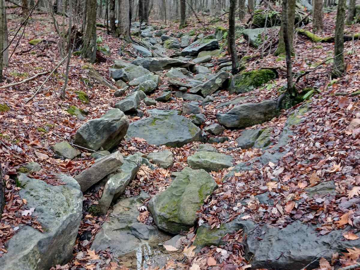 OHV 27 - Rock Run Recreation Area trail photo