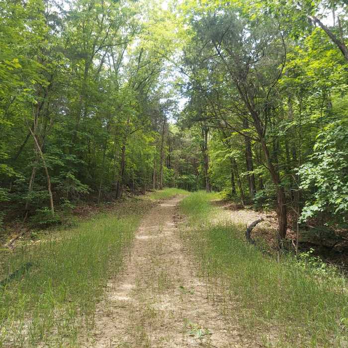 Trail Near Young Conservation Area