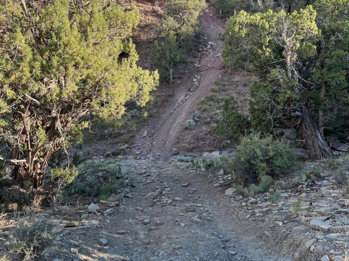 Virgin Overlook photo 2