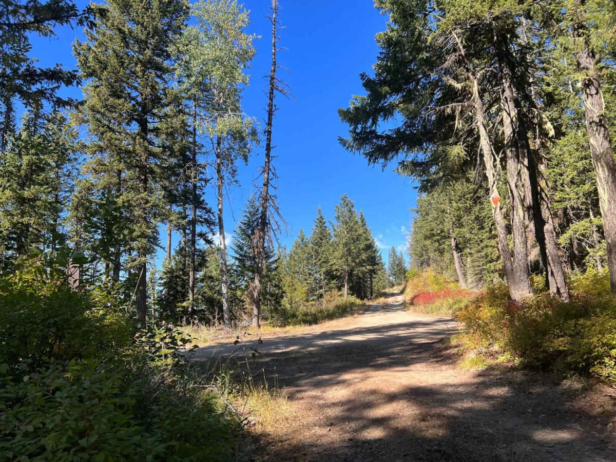 Huckleberry Mountain photo 3