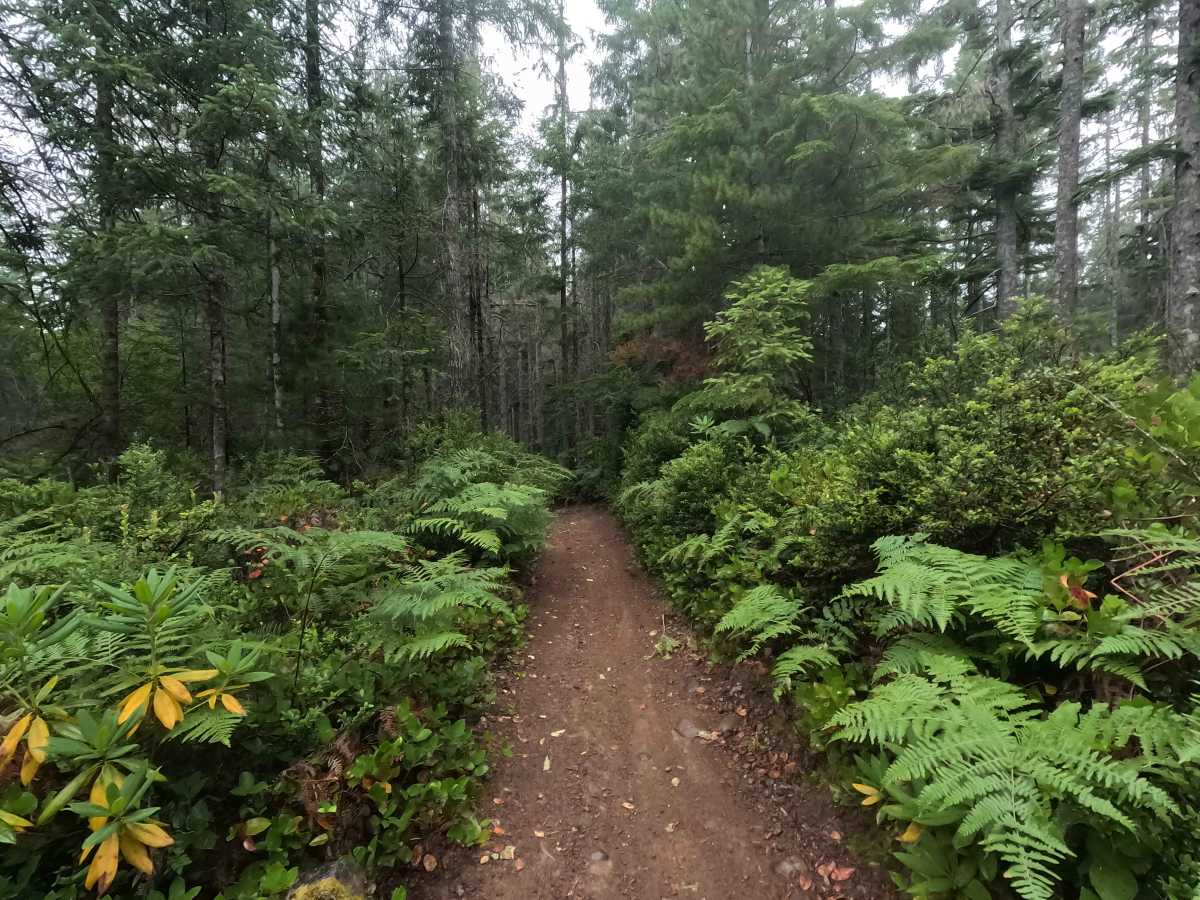 Howell Lake Loop photo 2