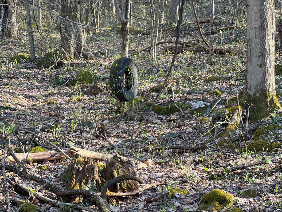 KC26 trail photo