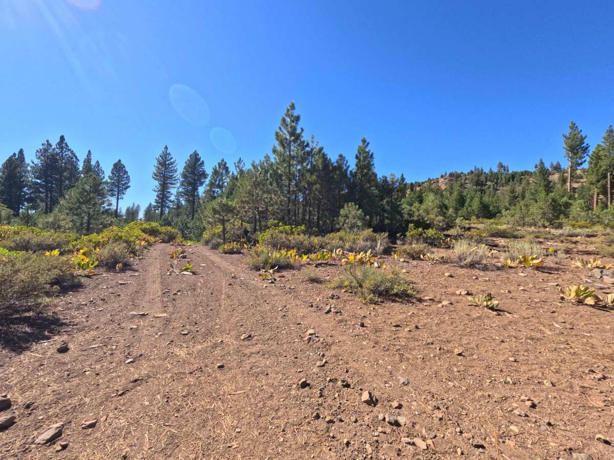 Cottonwood Creek - FS 0089-060 photo 3