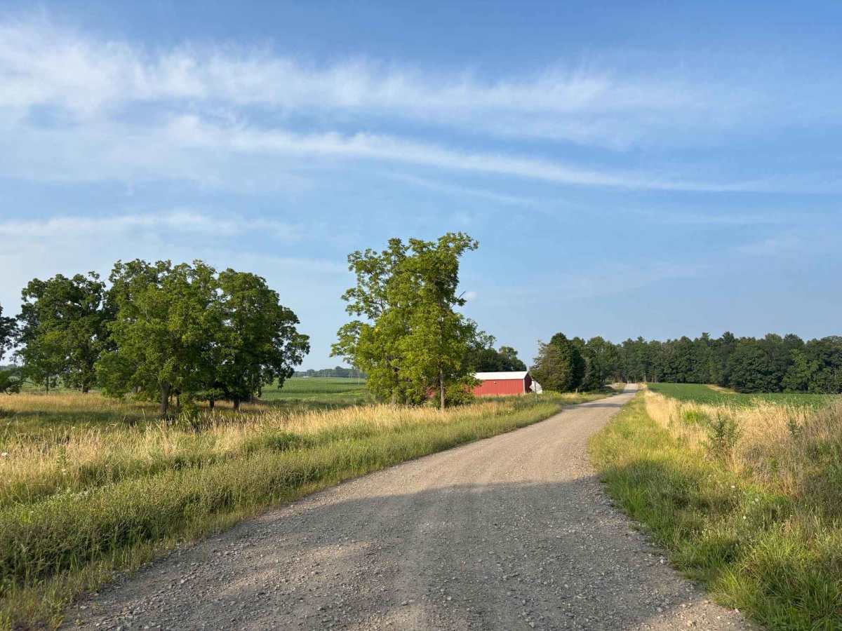 Wise Road photo 2