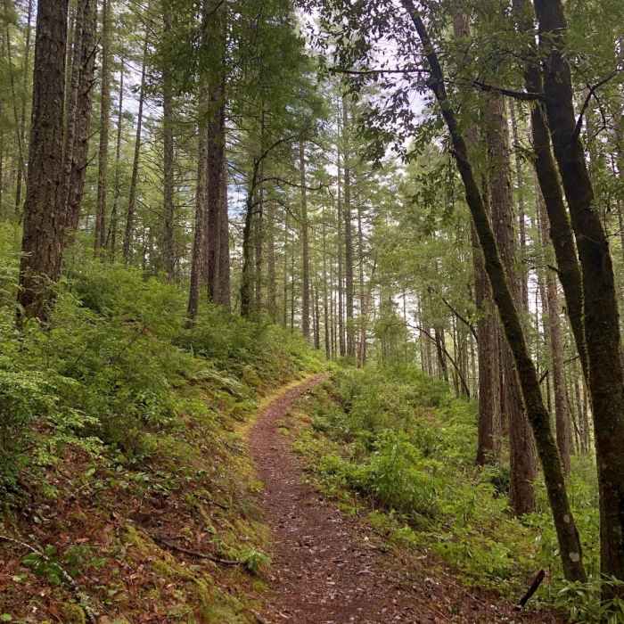 Near French Hill Trail #2E25