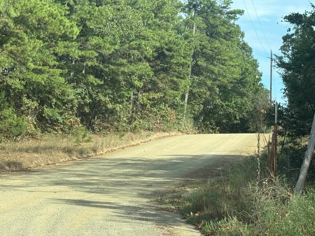 Polk Road 301 trail photo