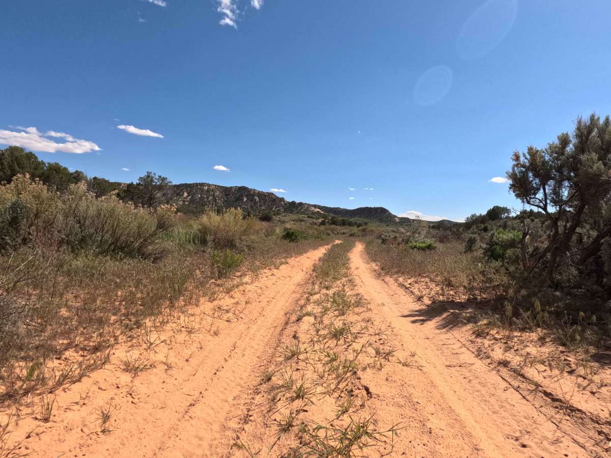 BLM 42 photo 6