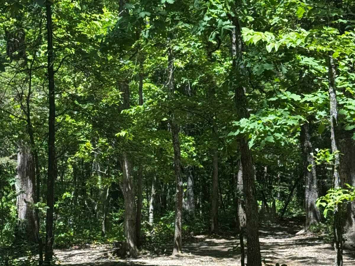 Perimeter Trail trail photo