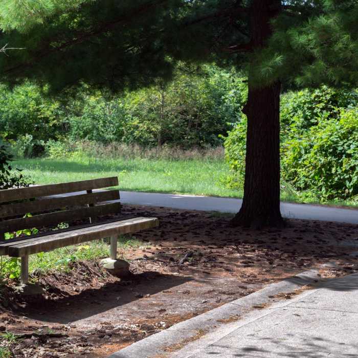 Near Starved Rock Trail