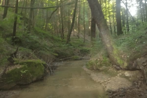 Wrongturn Hill