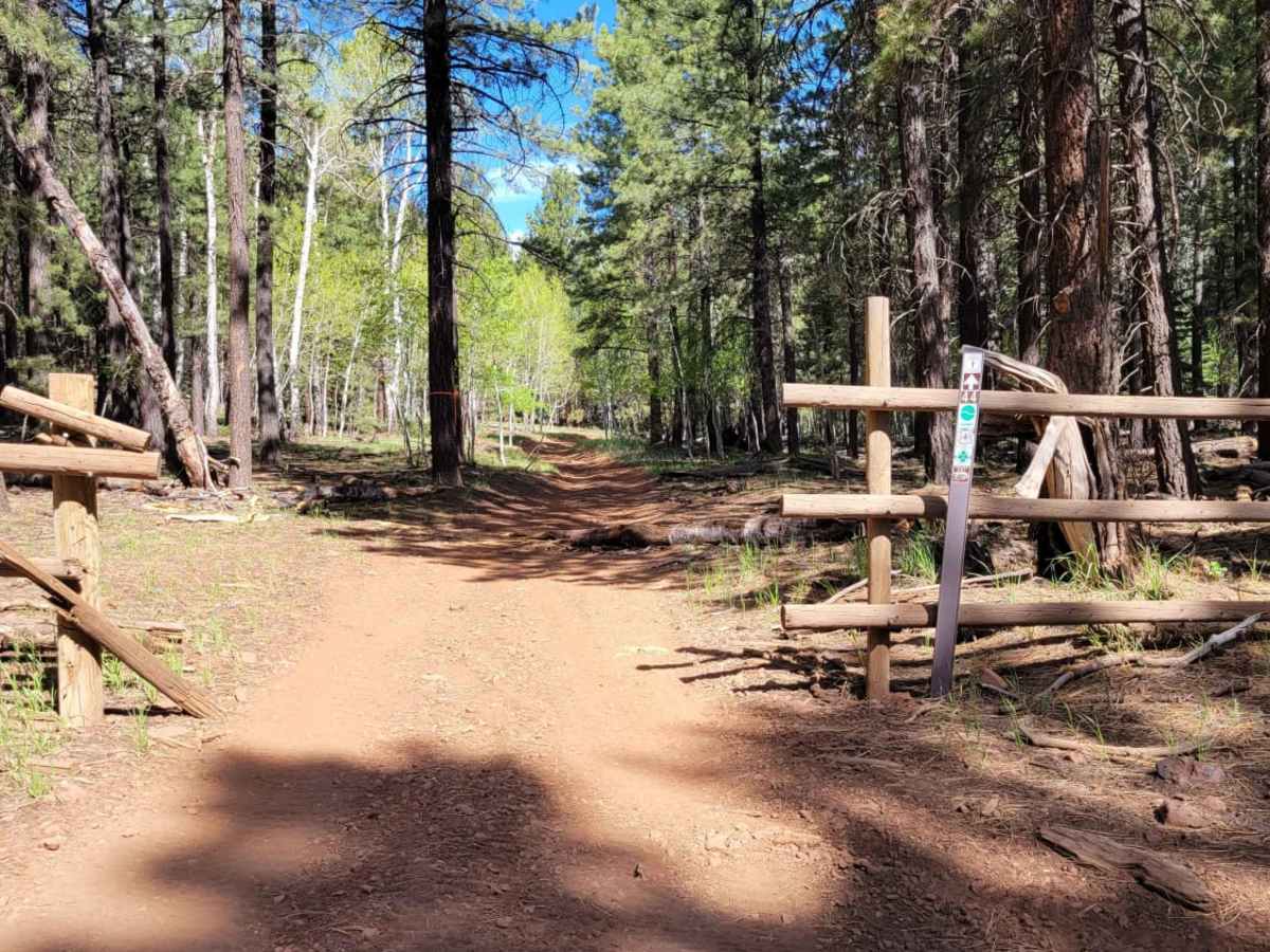 Ponderosa Loop Mini photo 3
