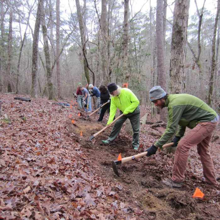 Midlands SORBA and volunteers benching section of the Cowasee Trail. Near Poinsett Loop Hike