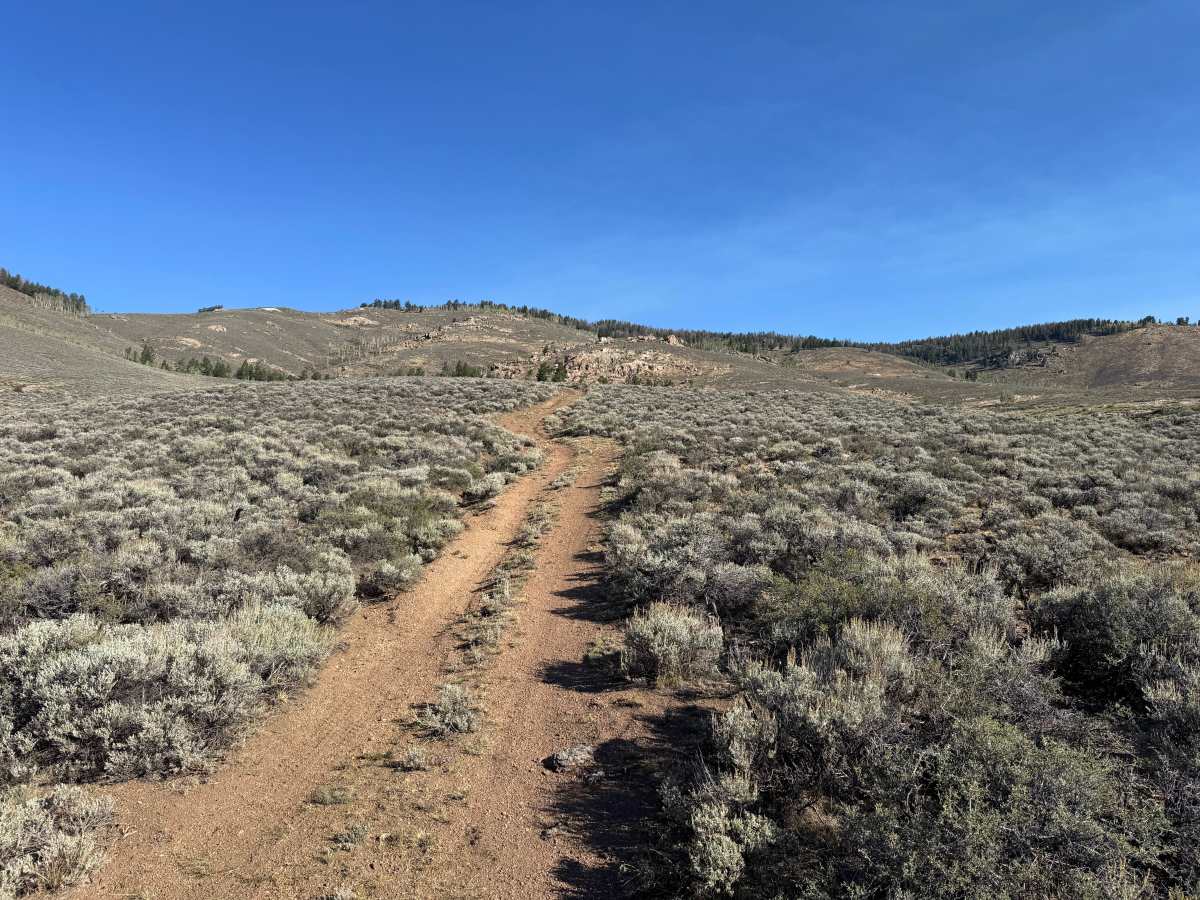 BLM 3102B trail photo