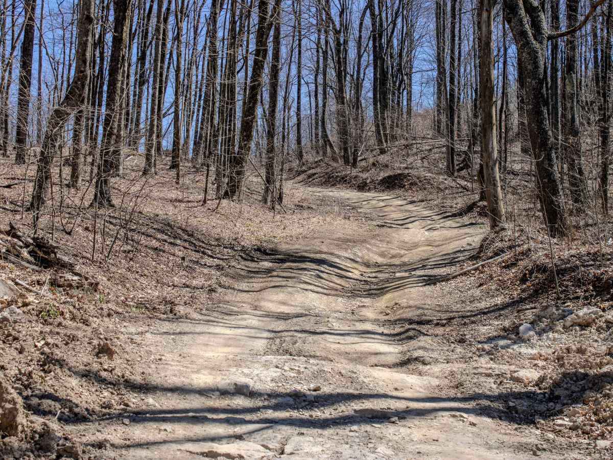 Pine Bald Trail trail photo