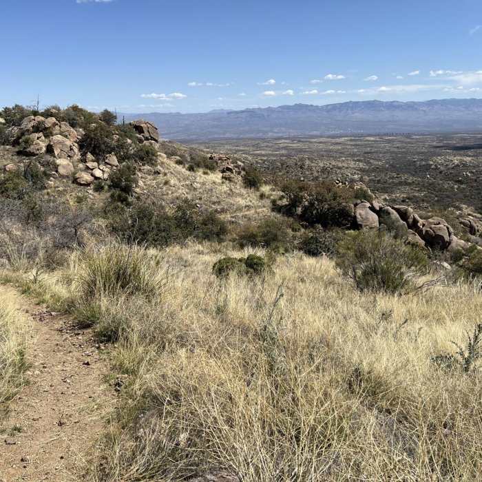 Near Oracle to American Flag