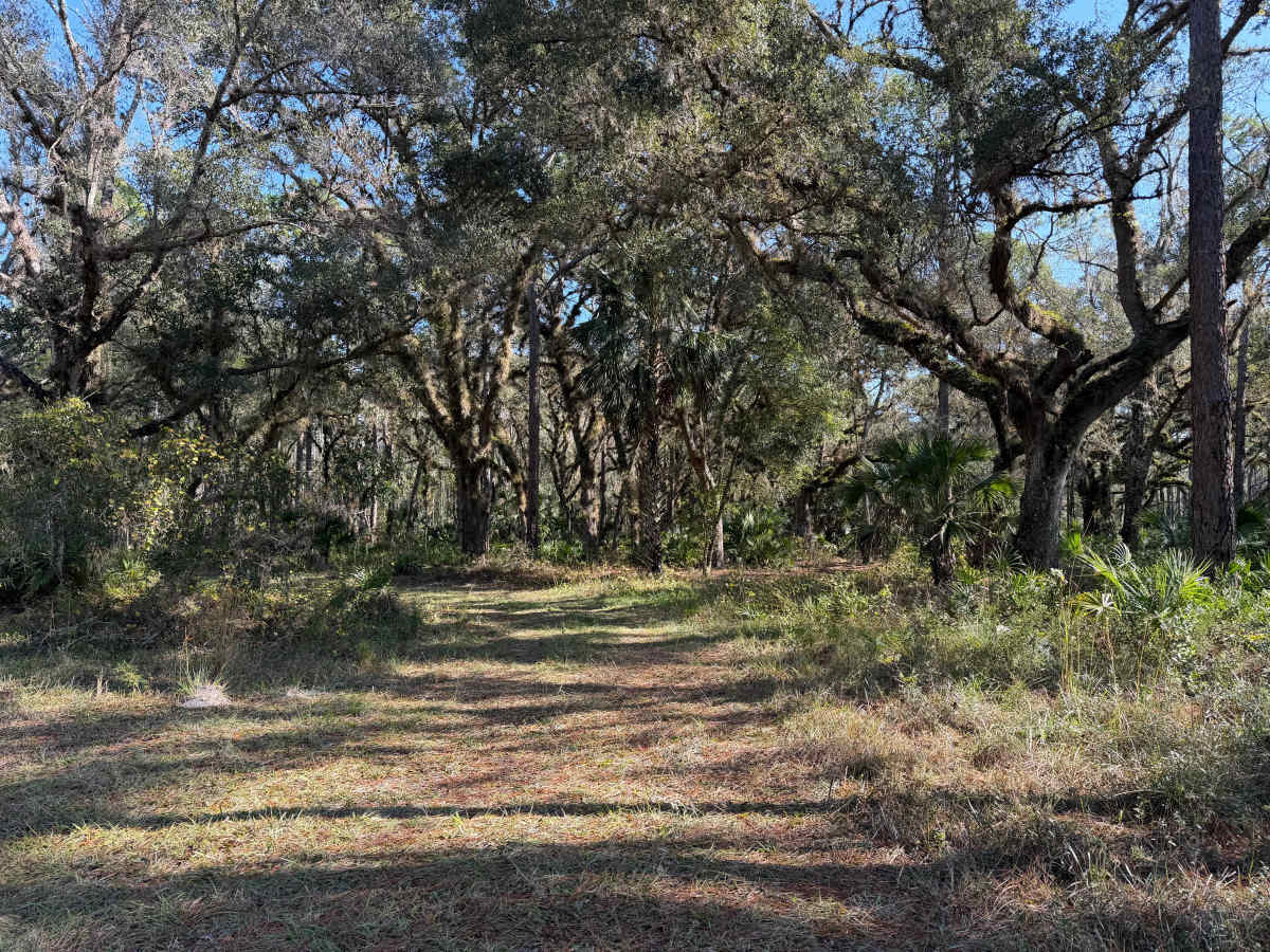 Three Run photo 6