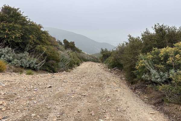 Wagon Track Trail