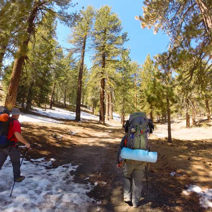 Near Mt. Pinos to Camp Three Falls