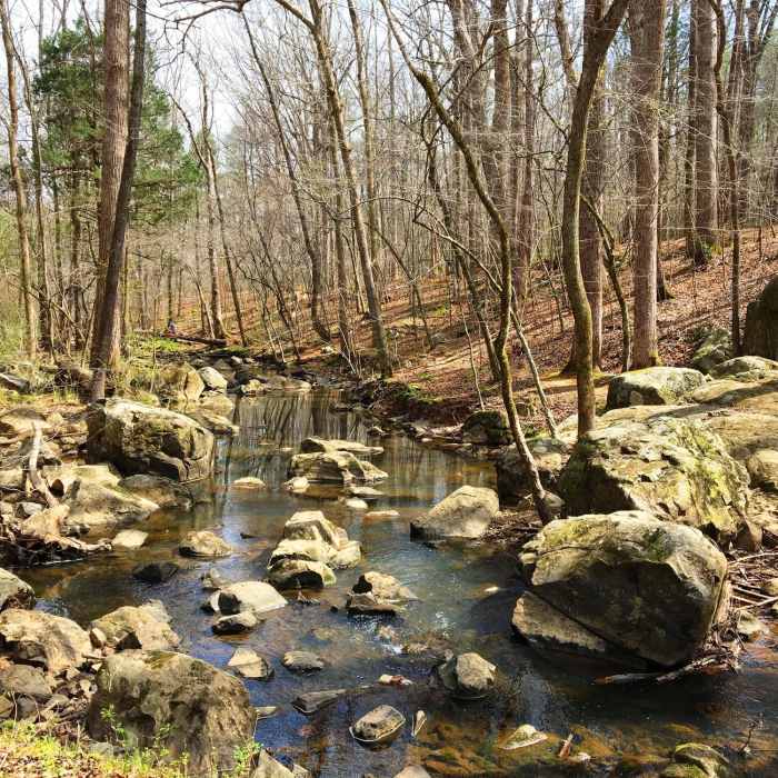 Near Occoneechee Loop