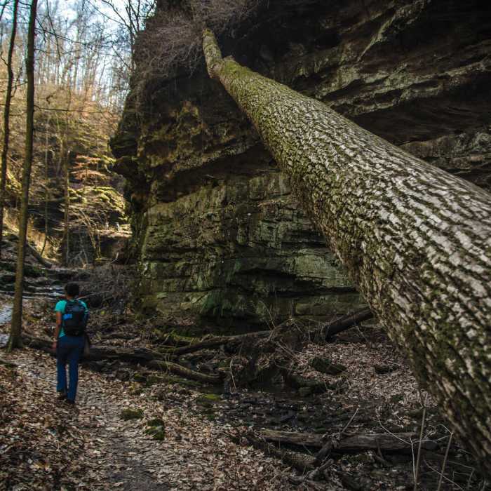 Near Little Grand Canyon Loop