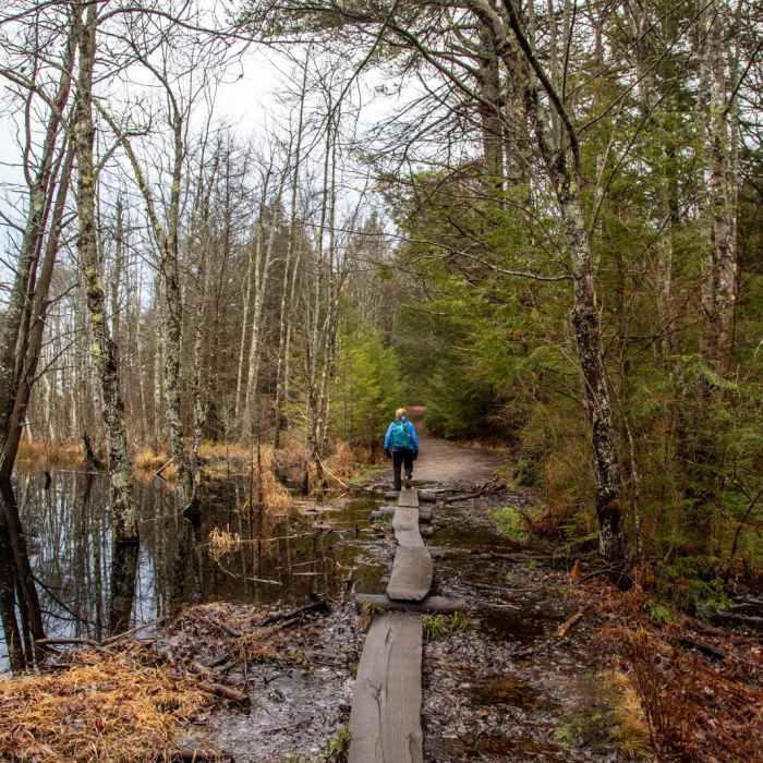 Near Wapack Trail to Mount Watatic and Pratt Mountain Near Wapack Trail to Mount Watatic and Pratt Mountain