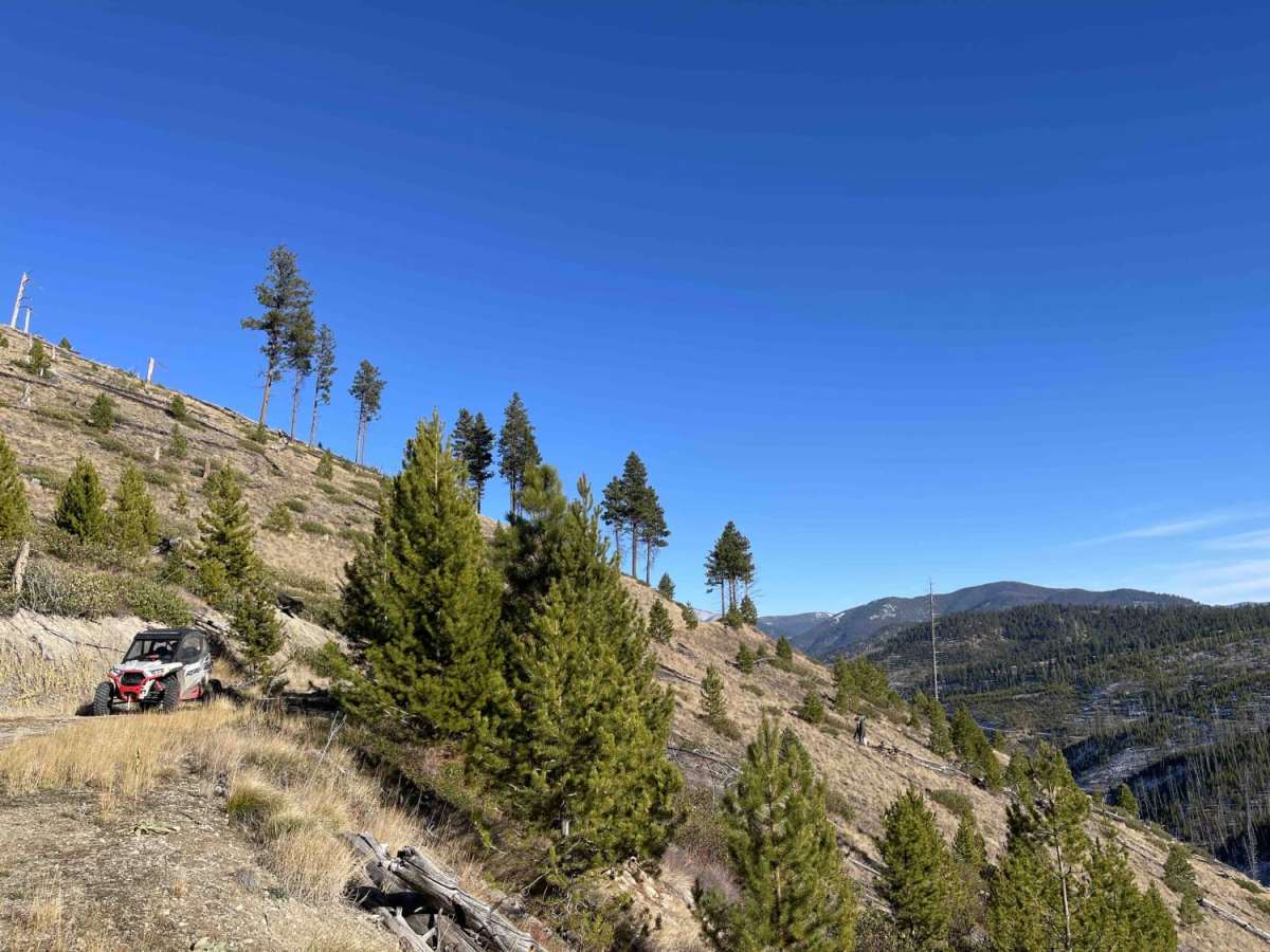 Lower Little Blue Joint trail photo