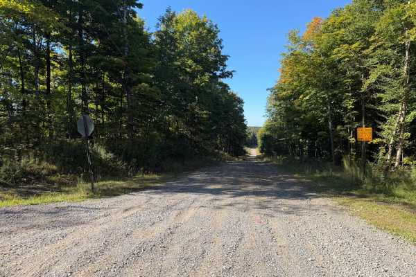 Olin Road
