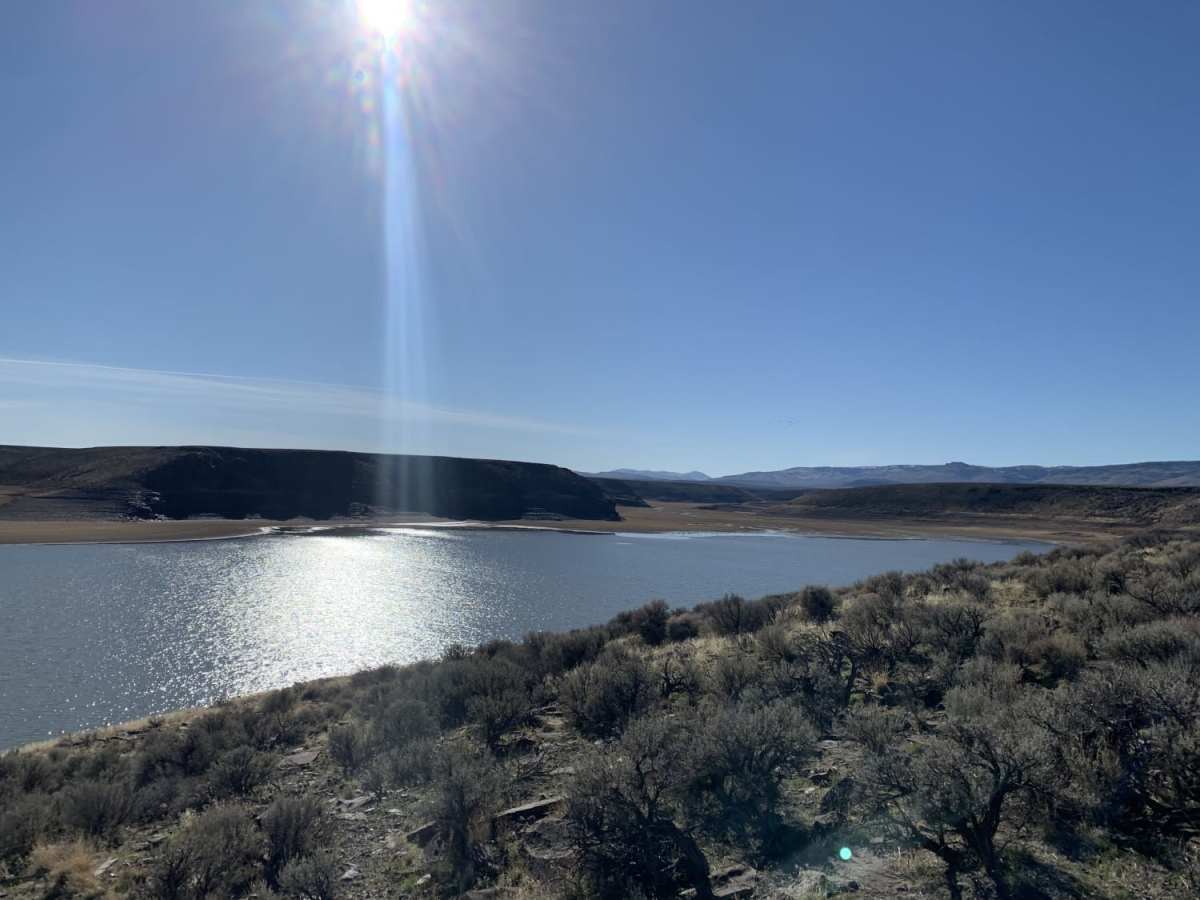 Southern Lucas Point trail photo