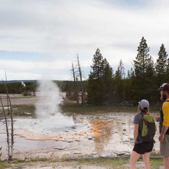 Near Norris Geyser Basin