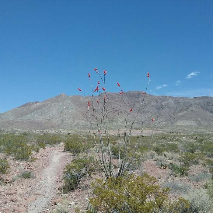 Near Brujos Connector