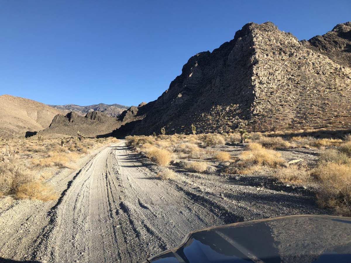 Cow Camp Road photo 2