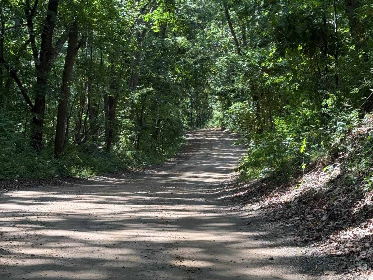 Green Trail photo 4