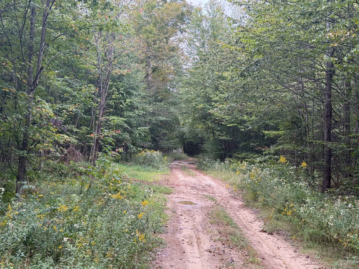 FS 144 photo 3