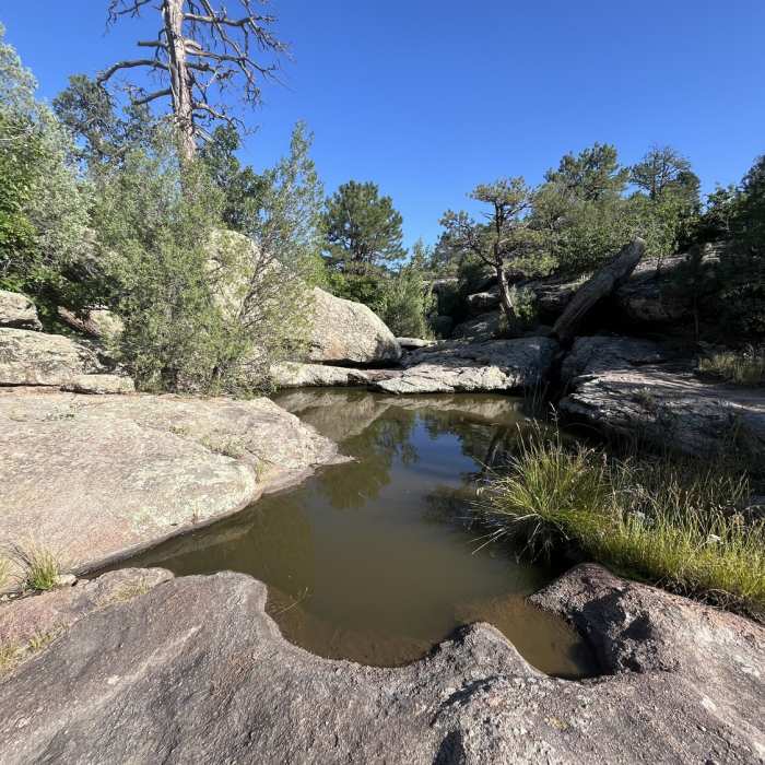 Ponds Near East Canyon Trail