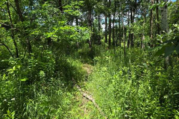 Single Track SS
