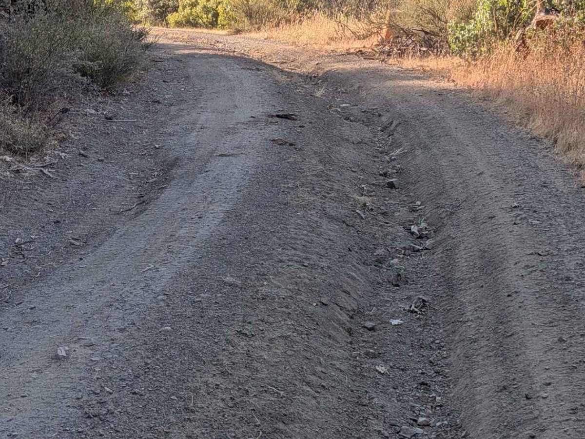 Goods Gulch Road - FS 31N38 photo 4
