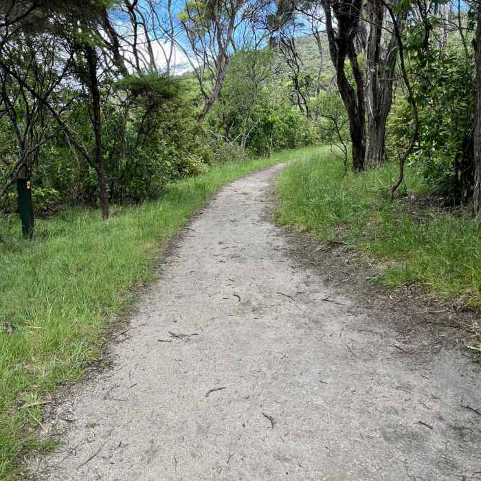 Near Totaranui Beach Track to Waiharakeke Bay