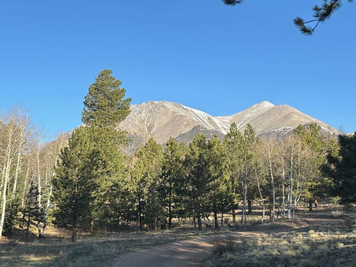 Mount Shavano - Aspen Cutoff photo 6