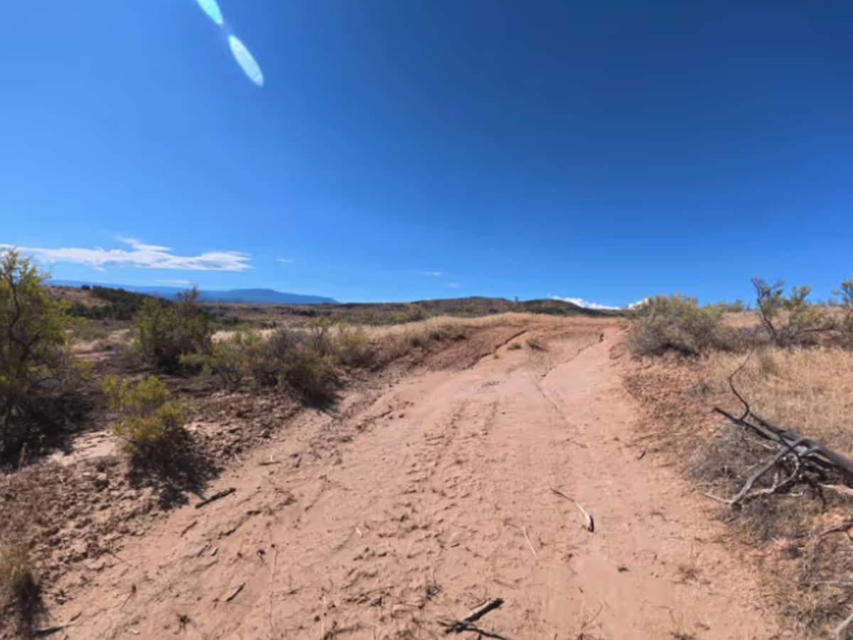 BLM 286C photo 5