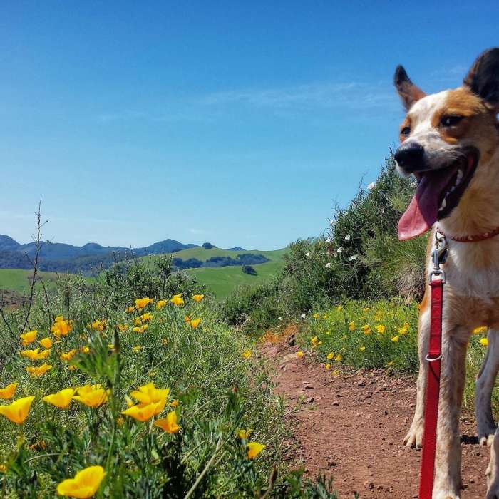 Near Johnson Ranch to Froom with Ocean Views