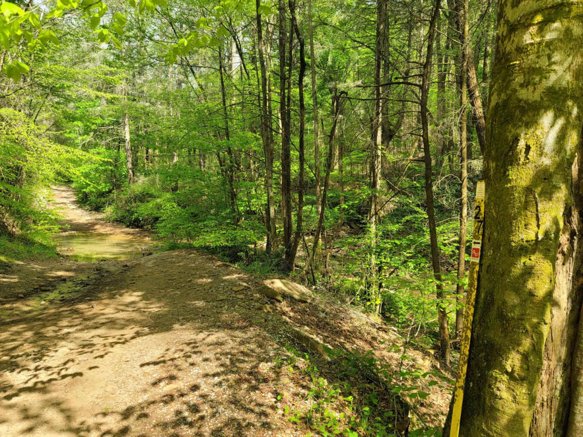 Trail 27 -  Kener Gap photo 2