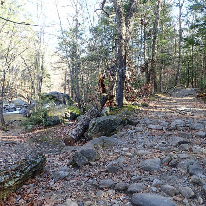 Near Harriman State Park Loop