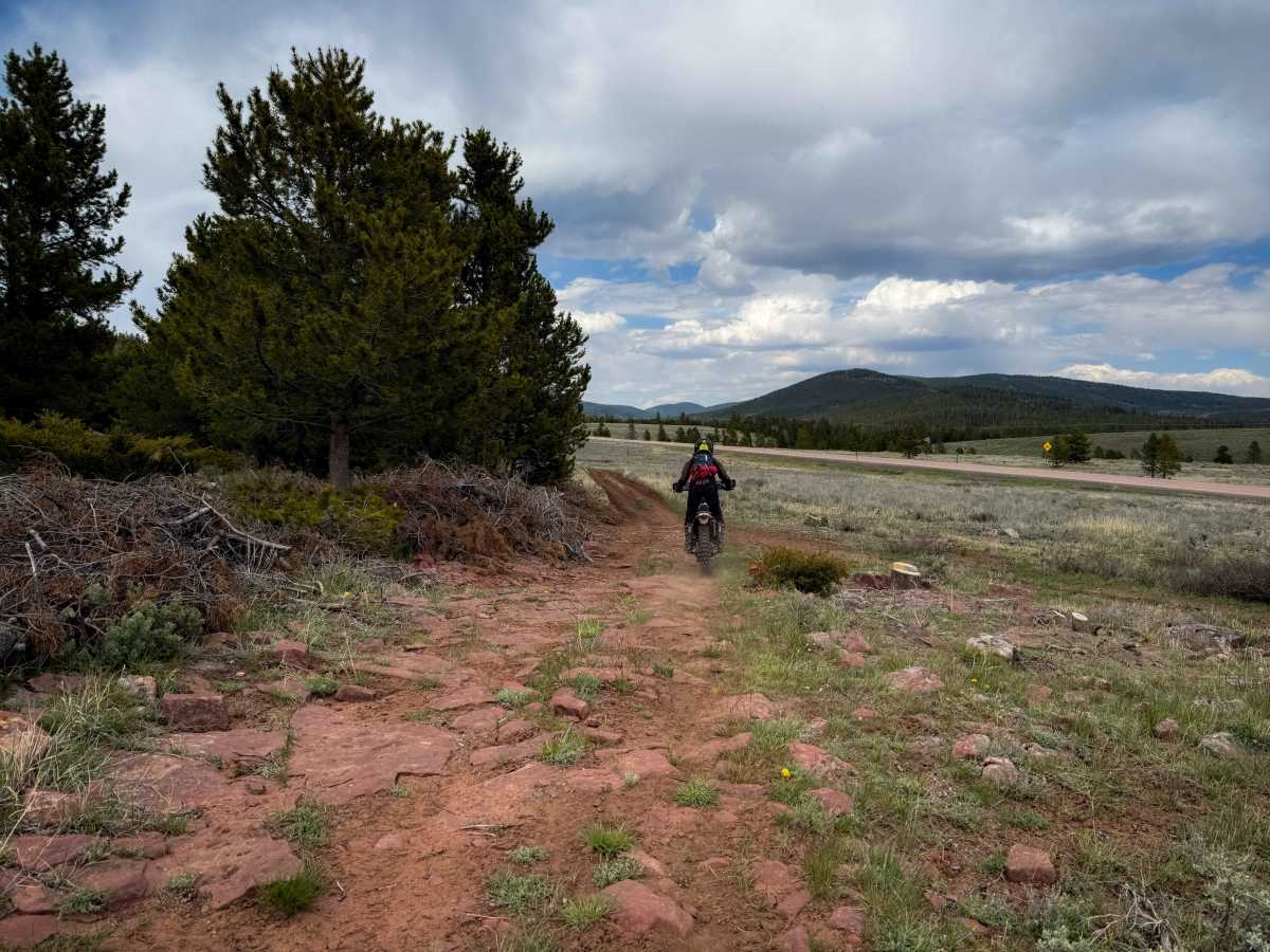 Bowden Draw Access Trail photo 4