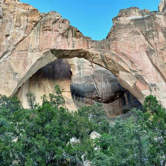 Near CDT: Ley Alternate (El Malpais Road + The Narrows)