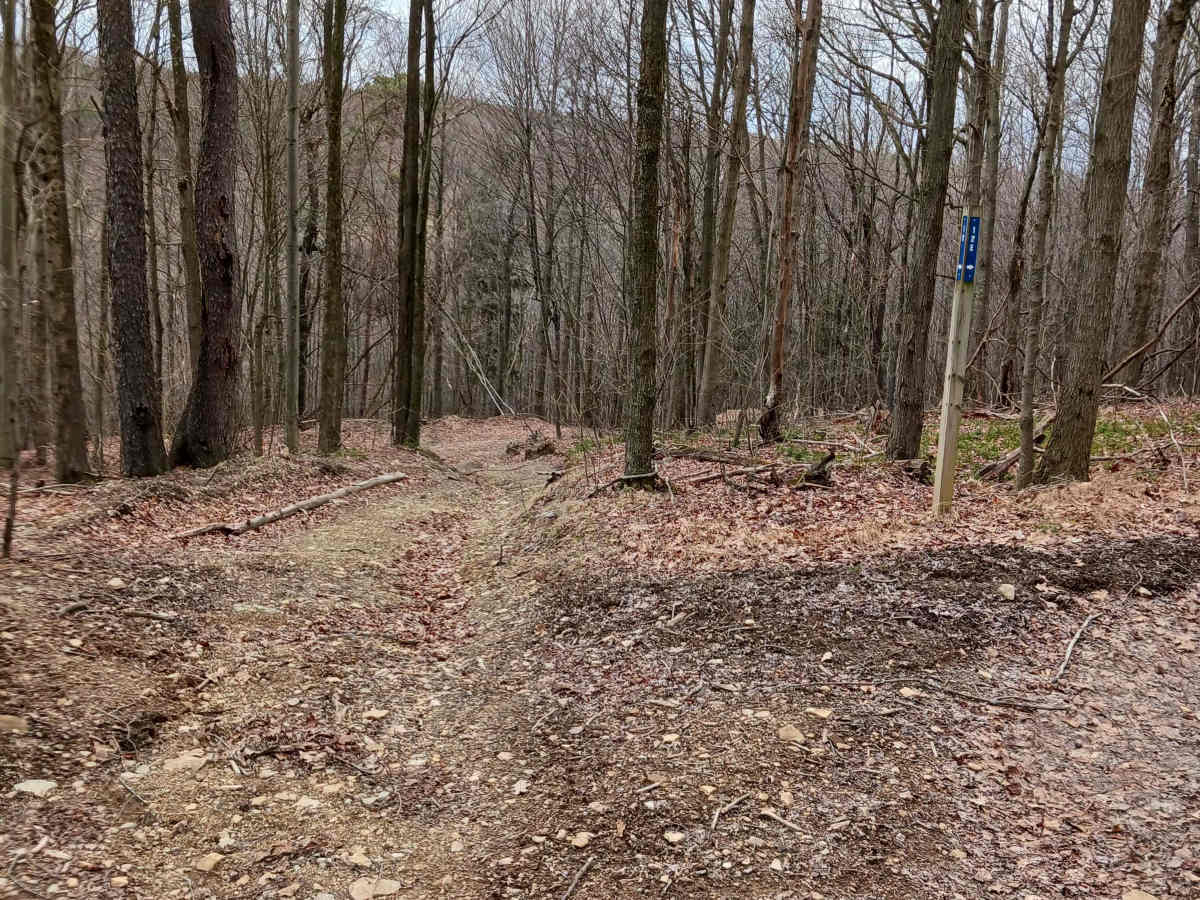 Trail 15 - Rock Run Recreation Area photo 5