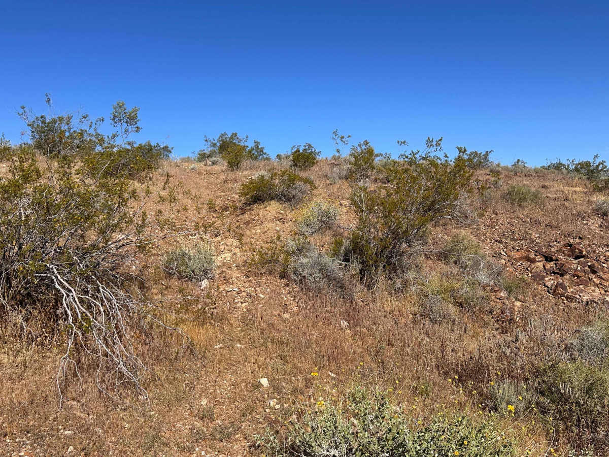 Devil’s Saddle photo 4