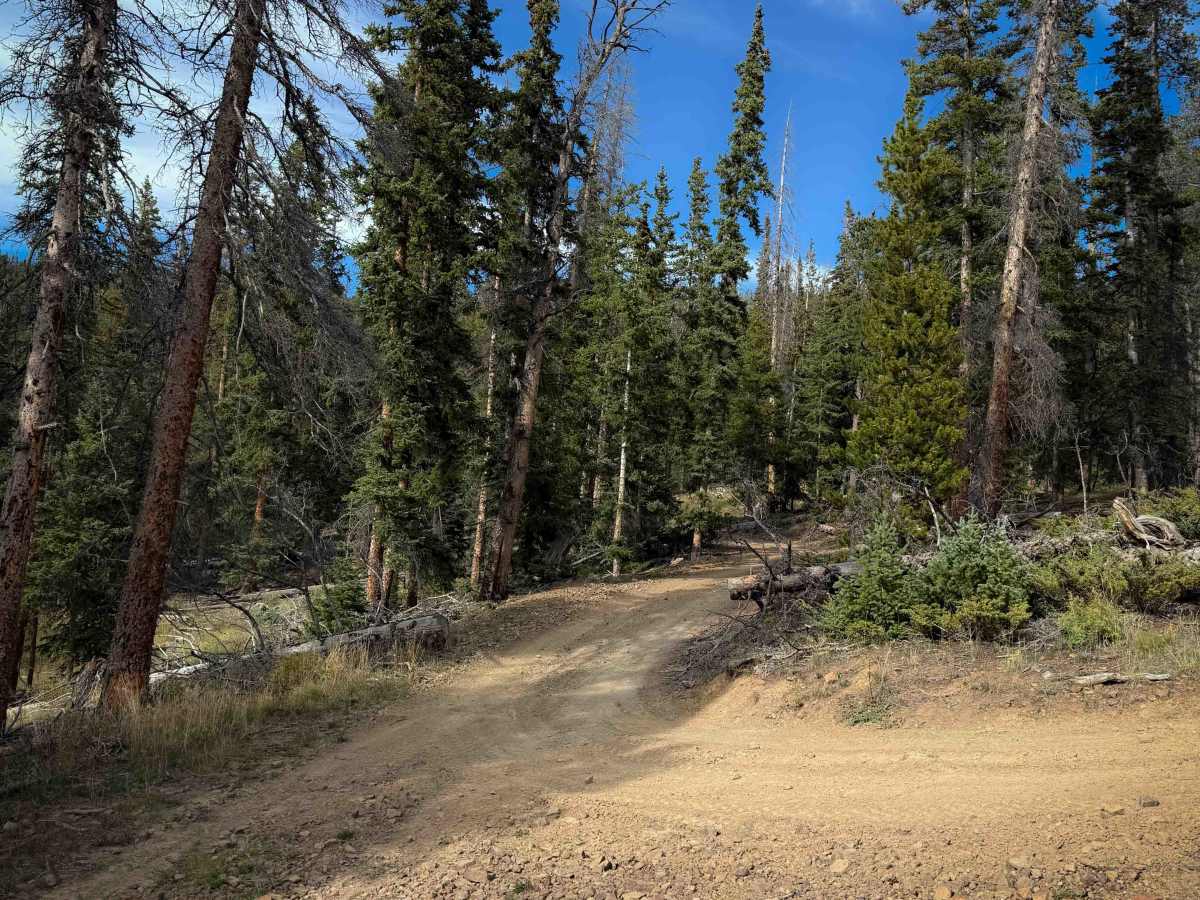 Bald Mountain Trail - FS 644  photo 3