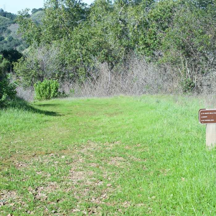 Near Bear Meadow Trail