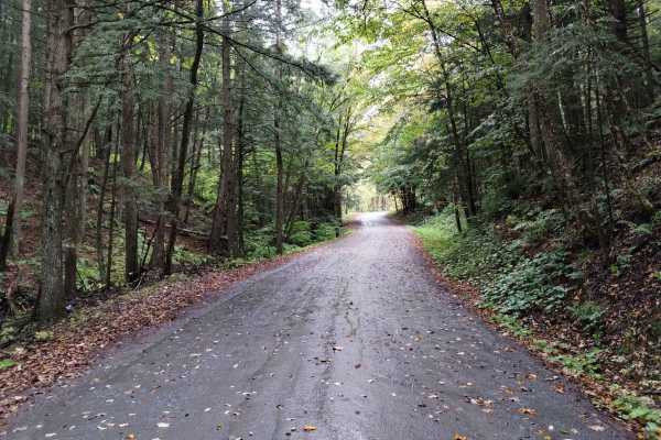 Falls Hill Track