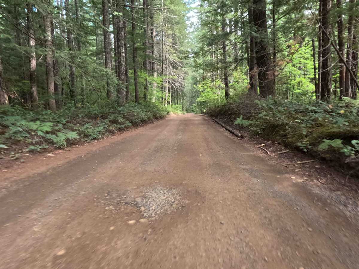 Ninemile Creek - FS 3062000 photo 5